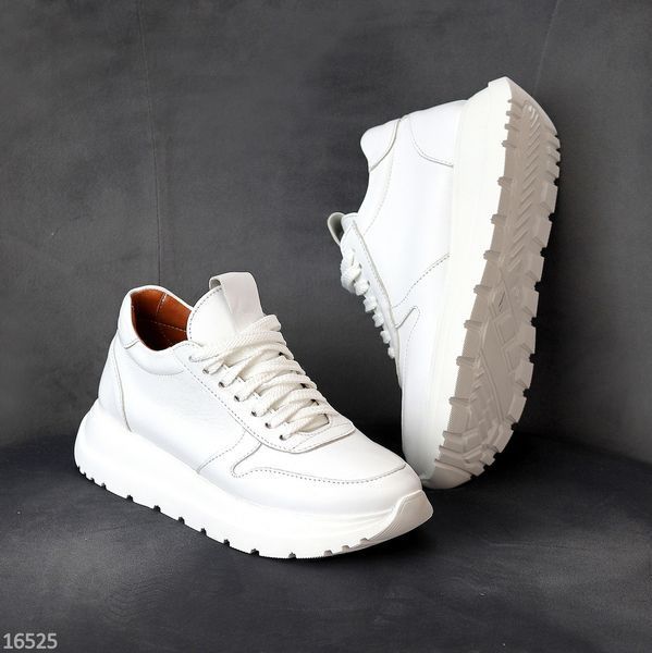 Базові жіночі шкіряні білі кросівки натуральна шкіра класика 16525 фото